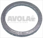 CARBO FLAT GASKET ø 41x33x3 mm 1″