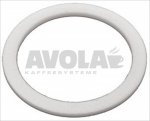 PTFE FLAT GASKET