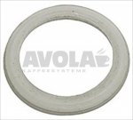 PTFE FLAT GASKET ø 24x19x2 mm