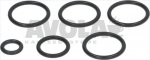 AUTOTROL O-RING SET 255/440i