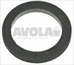 FLAT GASKET