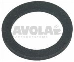 FLAT GASKET