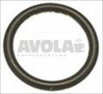 O-RING GASKET 0106 EPDM