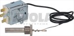 SINGLE-PHASE THERMOSTAT 60