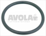 O-RING GASKET 06225 EPDM